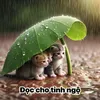 user060319970