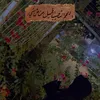amina_3691