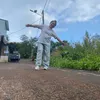 lanheo86