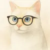 vidaminimalistaegatos