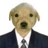 renzzzoo3