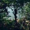 evehastings_