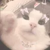 chloe_iwya