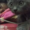 c0comel0onn