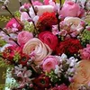 Abid Mashoom