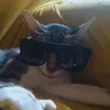 zlightz_002