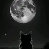 mi_an88_