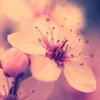 abukhaldoun4