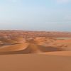 liwa9799