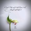 arsalanali895