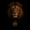 rn_reflexoes