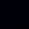 birch_21