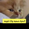 somam948