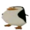._.pugi