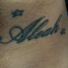 a13ahh_