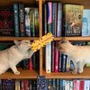 booksjoreads