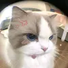 tinhyeuladeogi_02
