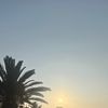 liiz_828
