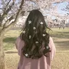 dongmaulachong19