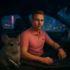chinchillla_777