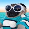 pugs_vibe