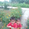 0918410374baonhatnhata