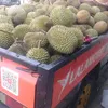 ronyolekah