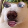 watahuhaaa