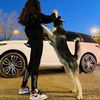 meera_1h