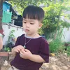 dodo92123
