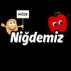 Niğdemiz