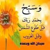 user305934539