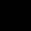 rangeela911