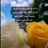mnoo14141