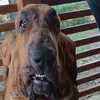 daddy_120_