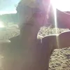 alvarodenys19
