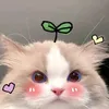 yourgirl.jade02