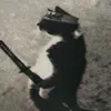 gnom1z