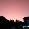 ansafiy03