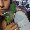 conure.mom.of.2