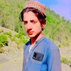 shahwazer01