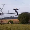 paullambert30