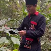 Thức Thảo Dược