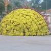 nguyenchidien28