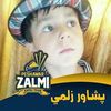 riazuddin371