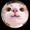 user5478578200083