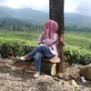 shelfikharis640