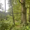 richard_kost