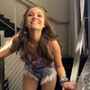 _stephalina