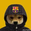 thinh_hoang2310